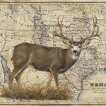 Mule Deer
24 x 30
Acrylic on Vintage Map
$1800