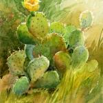 Cactus Flower
7 x 5
Watercolor
$175