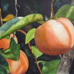 Just Peachy II
36 X 28
Watercolor
$1500
