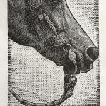 I LIke Big Buckles and I Cannot Lie, 
Limited Edition Wood Engraving
$45