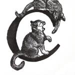 Cats
Limited Edition Wood Engraving
5 x 3 Print image
$47