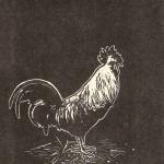 Endangered Animals: Ardenner Chicken
$40