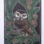 Northern Saw-Whet Owl
Limited Edition Wood Engraving and Watercolor
$45