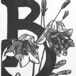 Bees in Bluebells
Limited Edition Wood Engraving
$45