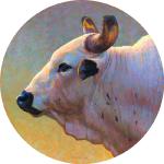 Bull Profile #3 Gabriel
20"
Pastel
$1450