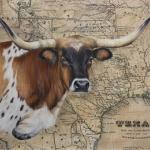Overjoyed
16 x 20
Acrylic on Texas Map
$800