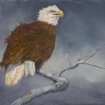 Bald Eagle
Lynne Jordan
11.5 x 18
Pastel

$750