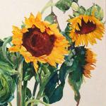 Sunflowers 30 x 22 Watercolor on Aquabord $1900